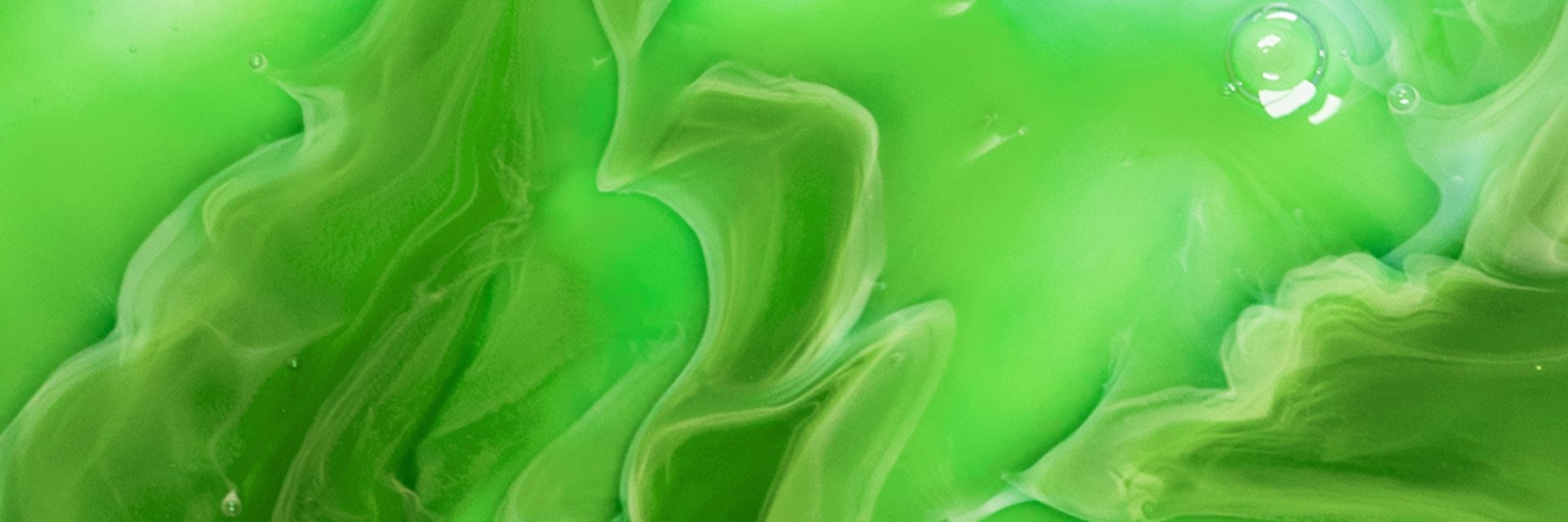 Bleach London Hair Stylist Top Tips for Flower Hair Art bleachlondon